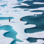La Organización Meteorológica Mundial confirma un récord de temperatura de 38º en el Ártico